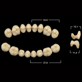 Акрилові зуби Tribos 501, жувальний низ - SLA