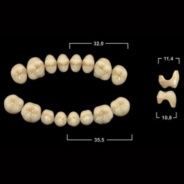 Акрилові зуби Tribos 501, жевательный низ - SMA
