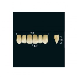 Акрилові зуби Tribos 501, фронт, верх - VT24