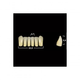 Акрилові зуби Tribos 501, фронт, низ - LV1